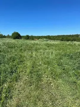 Участок в Вологодская область, Череповецкий район, Воскресенское ...