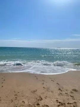 Участок в Крым, Ленинский район, Батальненское с/пос, Нептун СНТ 1047 ...