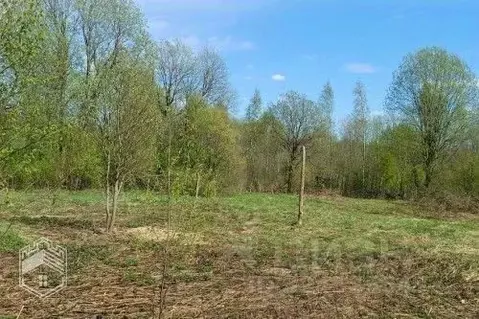 Участок в Новгородская область, Новгородский район, Савинское с/пос, ...