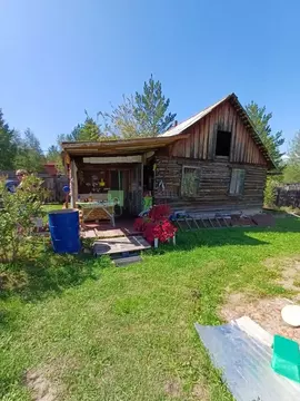 Дом в Забайкальский край, Читинский район, № 85 Раздольное ДНТ  (40 м)