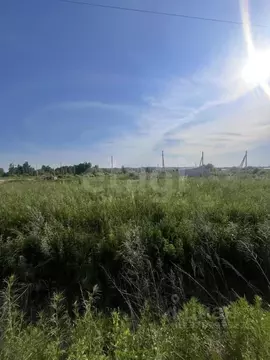 Участок в Амурская область, Благовещенский район, Станичное тер.  ...