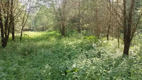 Участок в Московская область, Можайский муниципальный округ, д. ...