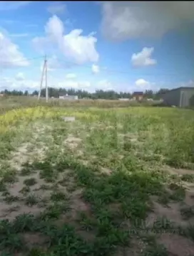 Участок в Новгородская область, Новгородский район, Ракомское с/пос, ...