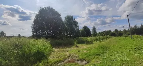 Участок в Московская область, Талдомский городской округ, д. Ябдино  ...