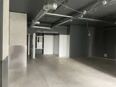 Помещение свободного назначения в Москва Березовая аллея, 19к3 (240 м)