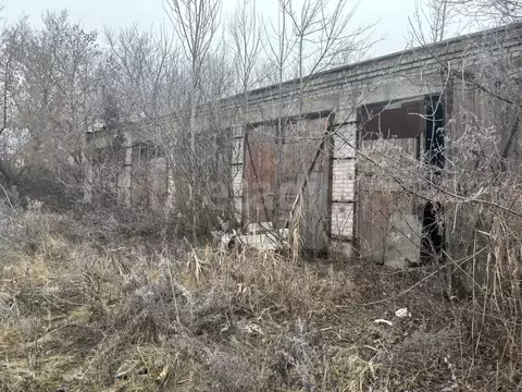 Помещение свободного назначения в Саратовская область, Балашов ул. ...