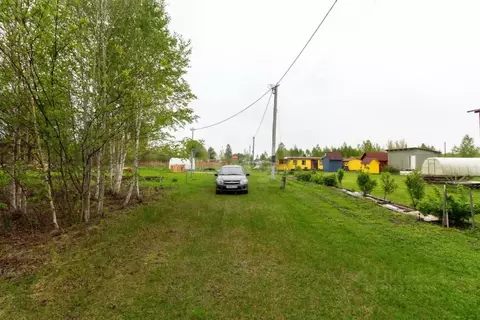 Участок в Тюменская область, Тюмень Светлое садовое товарищество,  ...