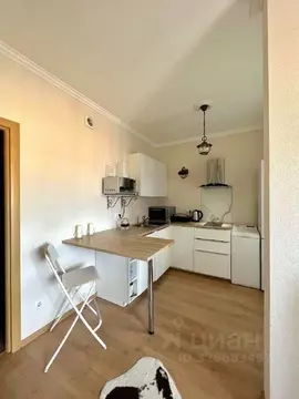 Студия Санкт-Петербург Приморский просп., 52К1 (27.0 м)