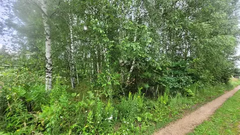 Продается участок в д. Писарево