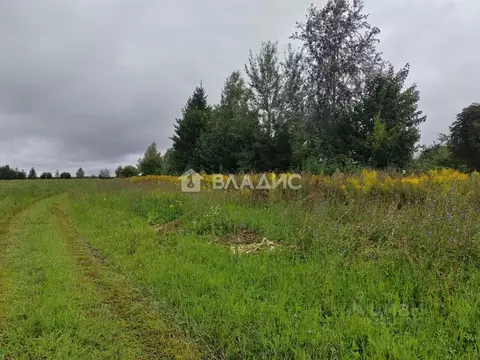 Участок в Владимирская область, Суздальский район, Боголюбовское ...
