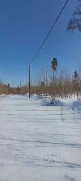 Участок в Иркутская область, Иркутский муниципальный округ, Ручейки ...