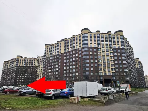 Помещение свободного назначения в Санкт-Петербург Малая Бухарестская ...