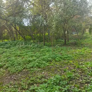 Продается участок в д. Юдино