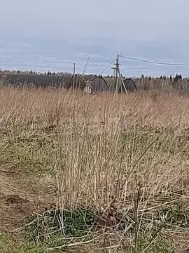 Участок в Тюменская область, Ялуторовский муниципальный округ, д. ...