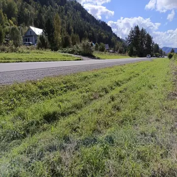 Участок в Алтай, Майминский район, Лесное СНТ  (12.16 сот.)