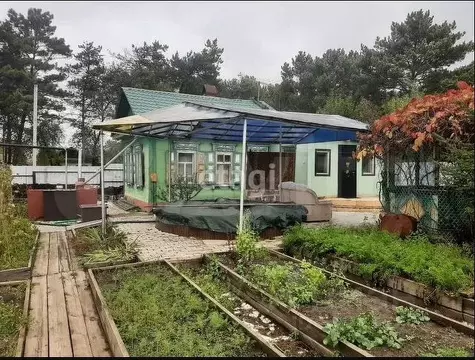 Дом в Амурская область, Благовещенский район, с. Усть-Ивановка ул. ...