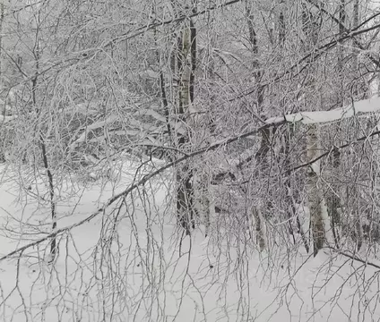 Участок в Московская область, Дмитровский муниципальный округ, д. ...