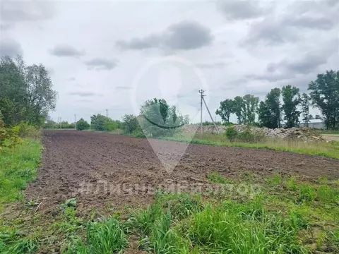 Участок в Рязанская область, Старожиловский муниципальный округ, с. ...