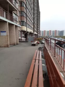 Студия Ленинградская область, Мурино Всеволожский район, бул. ...