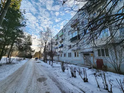 1-к кв. Московская область, Чехов муниципальный округ, д. Алексеевка, ...