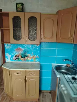 2-к кв. Алтайский край, Барнаул ул. Георгия Исакова, 146А (43.0 м)