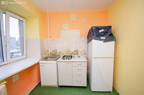 1-комнатная квартира: Ялуторовск, улица Скворцова-Степанова, 8 (29.5 ...