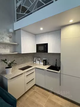 2-к кв. Краснодарский край, Сочи ул. Ленина, 219 (48.0 м)