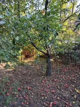 Участок в Ростовская область, Новочеркасск Мостовая ул., 5 (1071.0 ...