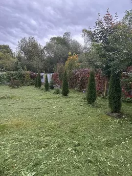 Участок в Московская область, Можайский муниципальный округ, д. ...