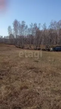 Участок в Алтайский край, Смоленский район, пос. Верх-Обский ул. ...