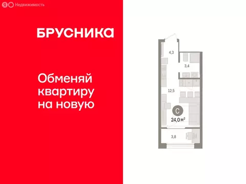 Квартира-студия: Тюмень, Краснооктябрьская улица, 4 (23.97 м)