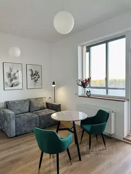 Студия Ленинградская область, Мурино Всеволожский район, ул. Шувалова, ...