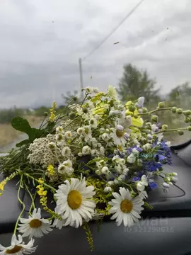 Участок в Северная Осетия, Владикавказ Редант СНО,  (12.0 сот.)