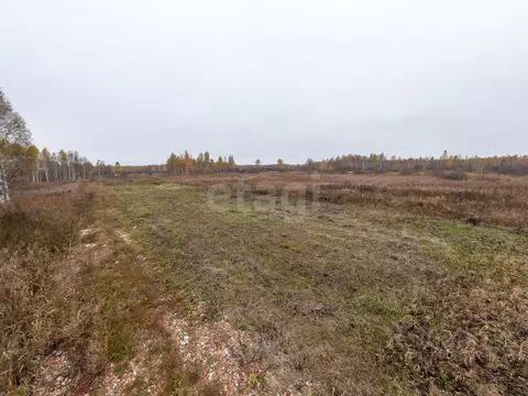 Участок в Тюменская область, Нижнетавдинский муниципальный округ, ...