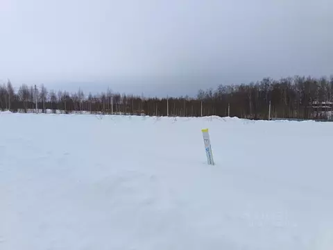 Участок, 6 сот., сельхоз (снт или днп)