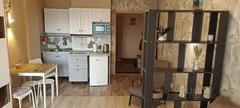 Студия Пермский край, Пермь ул. Революции, 54 (32.1 м)