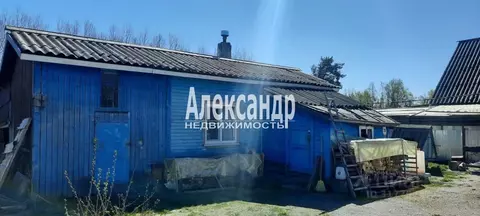 Дом в Ленинградская область, Приозерск ул. Цветкова, 28 (20 м)