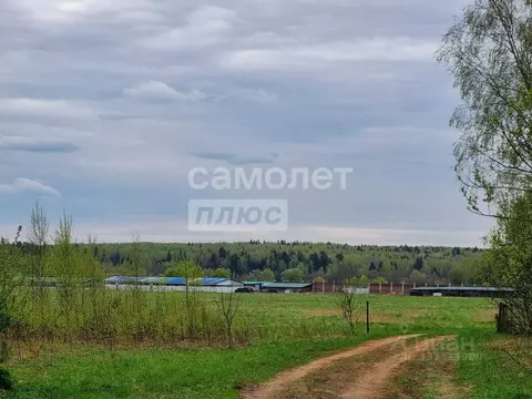 Участок в Калужская область, Боровский муниципальный округ, д. ...