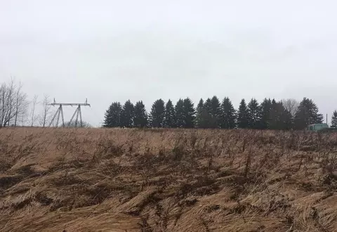 Участок в Московская область, Дмитровский муниципальный округ, с. ...