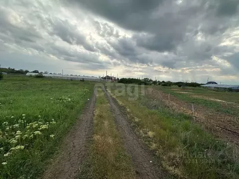 Участок в Ростовская область, Октябрьский район, Кривянское с/пос, ...