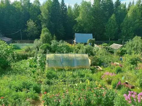 Дом в Пермский край, Пермь Гаревая ул., 26 (44 м)