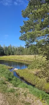Участок в Ленинградская область, Волховский район, Иссадское с/пос, ...