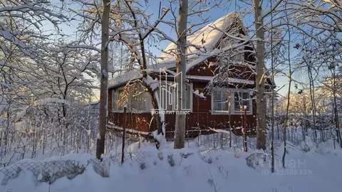 Дом в Ленинградская область, Кировский район, Синявинское городское ...