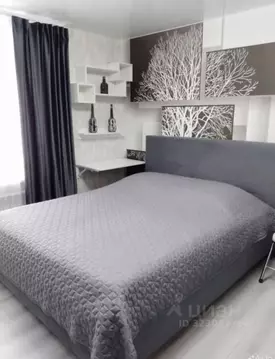 Студия Ивановская область, Иваново Новосельская ул., 6 (18.0 м)