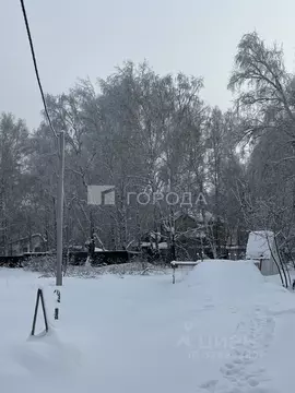 Участок в Алтайский край, Первомайский район, с. Санниково ул. ...