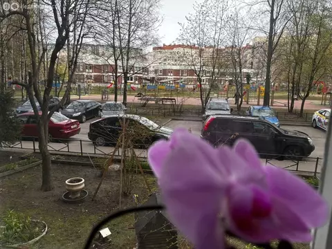 3-комнатная квартира: Санкт-Петербург, проспект Авиаконструкторов, ...