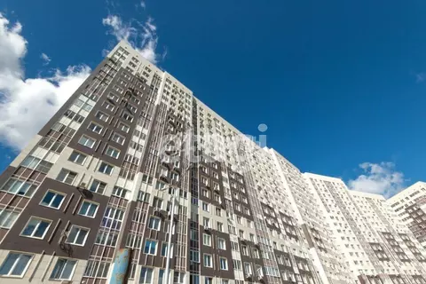 Студия Московская область, Одинцово ул. Белорусская, 10 (37.6 м)