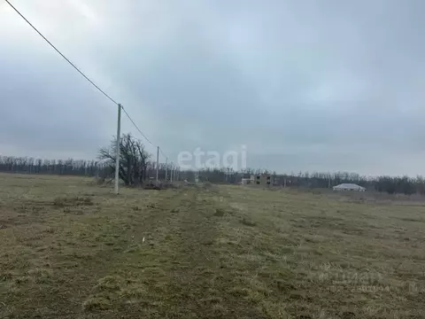 Участок в Ростовская область, Аксайский район, Старочеркасское с/пос, ...