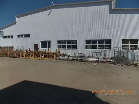 Помещение свободного назначения в Краснодарский край, Динская ст-ца ...