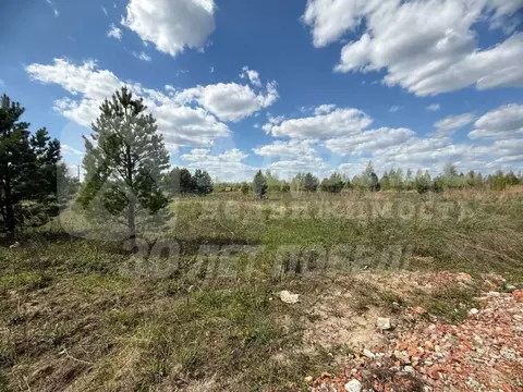 Участок в Тюменская область, Нижнетавдинский муниципальный округ, ...